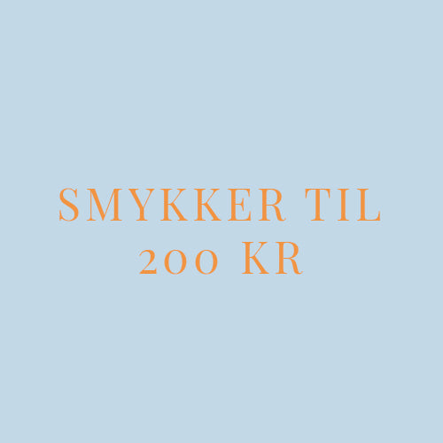 ARCHIVE 200 KR SMYKKER